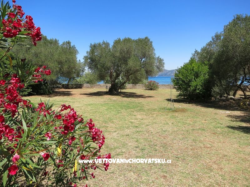 Ferienwohnungen MAK – Ferienwohnung Drace &amp; Trstenik, Kroatien – Foto 3