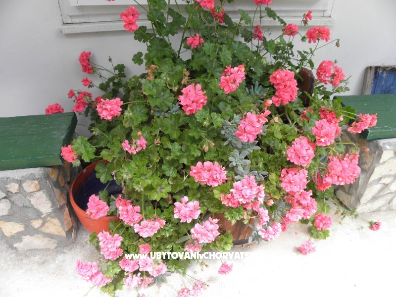 Apartmány Šime Pelješac – ubytování Drace &amp; Trstenik, Chorvatsko – foto 14