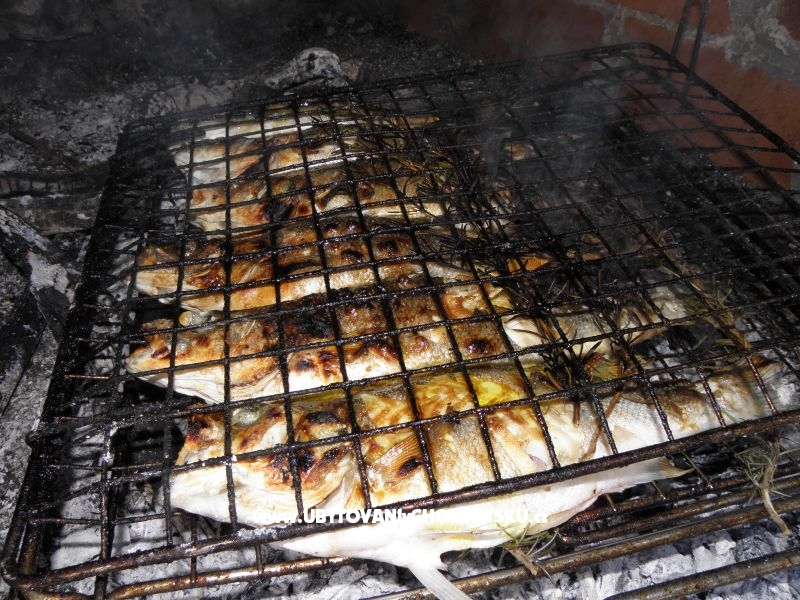 Apartmány Šime Pelješac – ubytování Drace &amp; Trstenik, Chorvatsko – foto 16