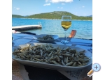 Beachfront apartments Ruskovic - Drace &amp;amp; Trstenik Kroatien