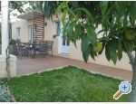 Ted Appartements - Drace &amp;amp; Trstenik Croatie