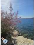 Villa Amfora with Pool - Karlobag - Karlobag Chorvatsko