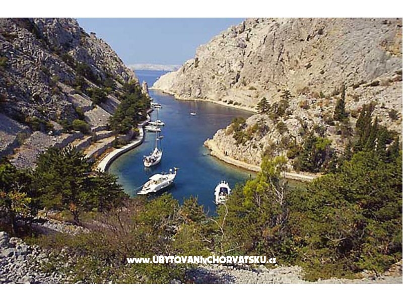 Apartment Camelia – Ferienwohnung Karlobag, Kroatien – Foto 12