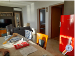 Apartment Karlobag - Karlobag Kroatien