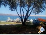 Apartmaji Marija - Karlobag Hrvaka