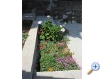 Apartmaji Gracijela - Karlobag Hrvaka