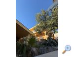 Beachfront Apartmány A+M – Karlobag – náhled 8