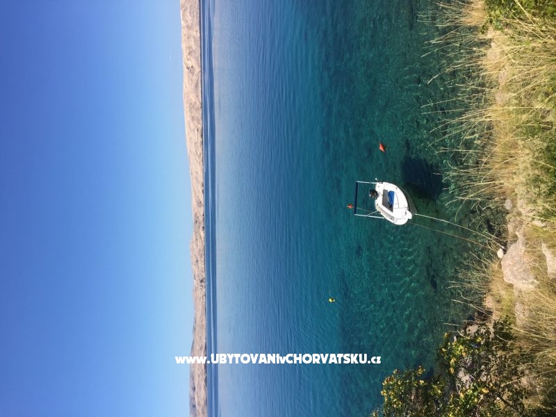 Cesarica Stars – Ferienwohnung Karlobag, Kroatien – Foto 18