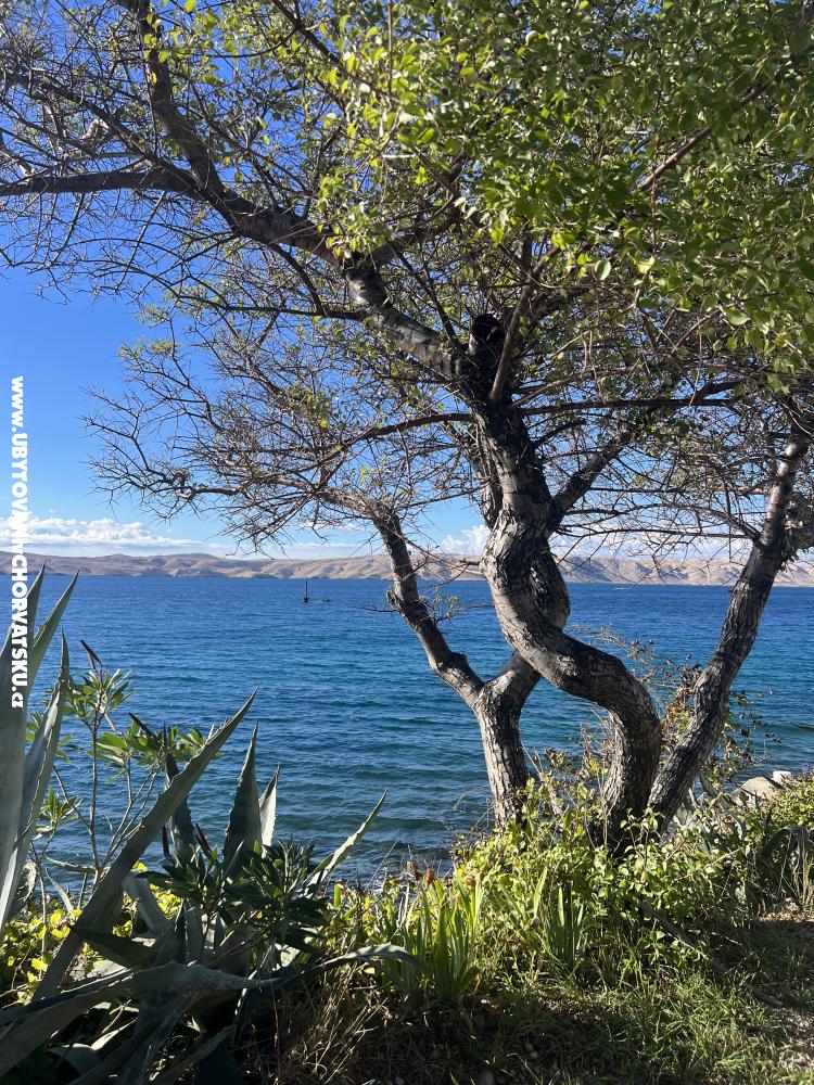 Huis Matea - Karlobag Kroatië