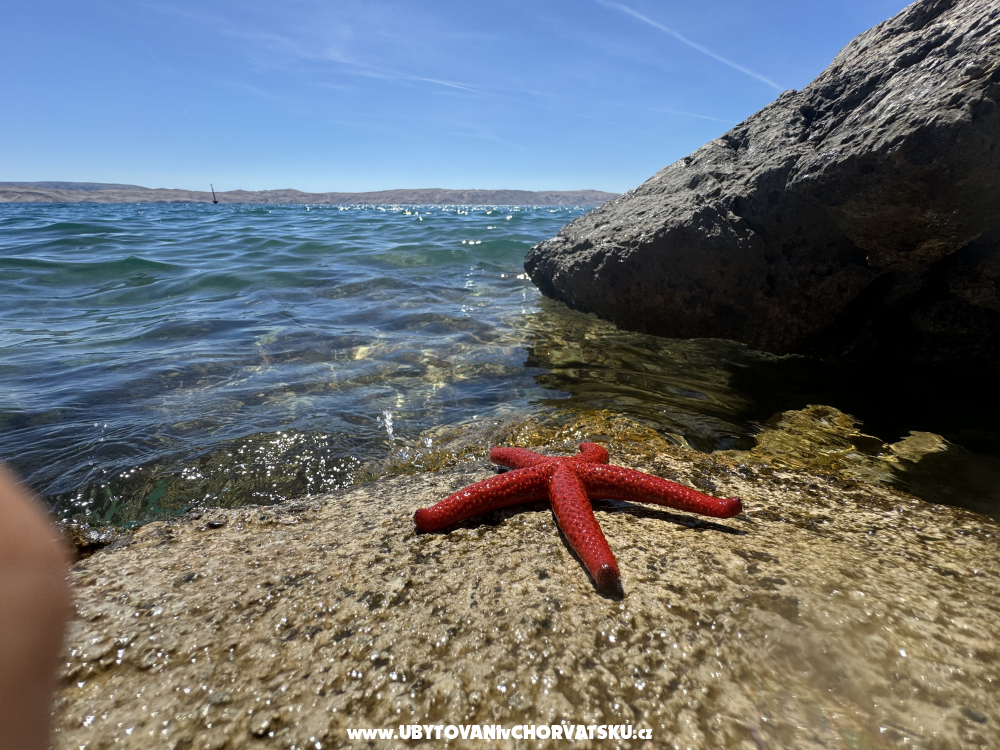 Huis Matea - Karlobag Kroatië