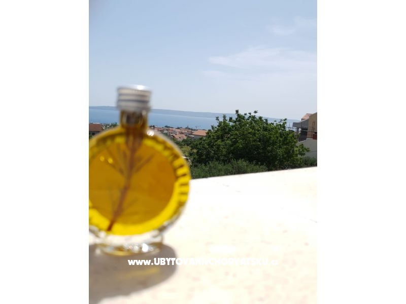 Apartment Dejana – Ferienwohnung Kastela, Kroatien – Foto 17