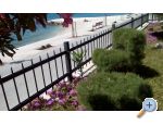 Appartements Figaro - Katela Croatie