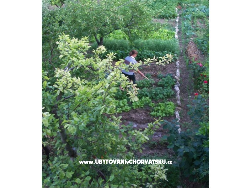 Apartment Sempervivum – Ferienwohnung Kastela, Kroatien – Foto 12