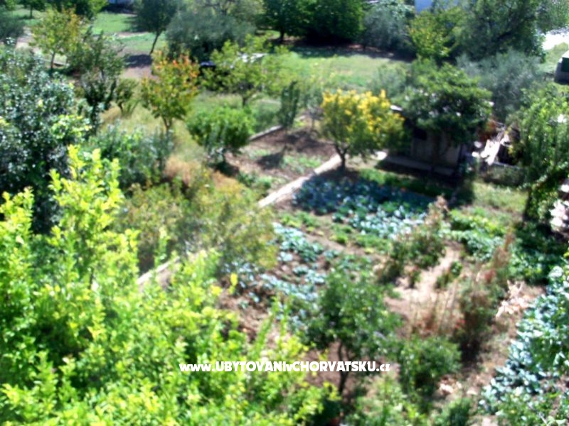 Apartment Sempervivum – Ferienwohnung Kastela, Kroatien – Foto 18