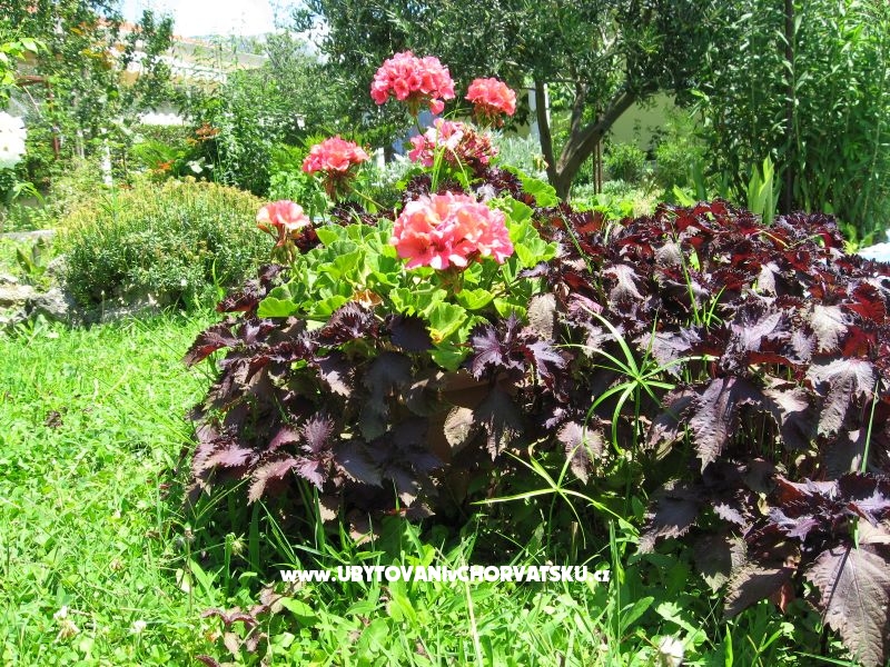 Appartements Božana – Ferienwohnung Kastela, Kroatien – Foto 5