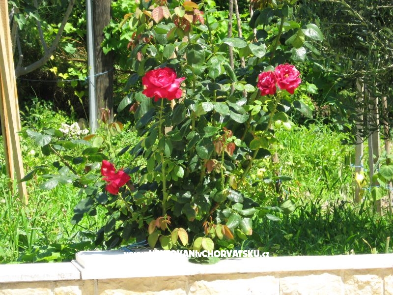 Appartements Božana – Ferienwohnung Kastela, Kroatien – Foto 6