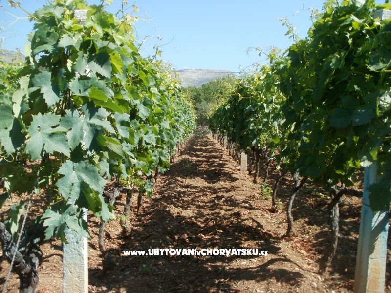 Apartmány Grgin – ubytování Kaštela, Chorvatsko – foto 13