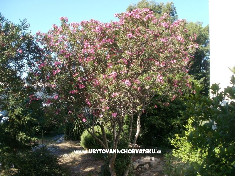 Apartmány Grgin – ubytování Kaštela, Chorvatsko – foto 4