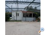 Appartements Milica - Katela Croatie