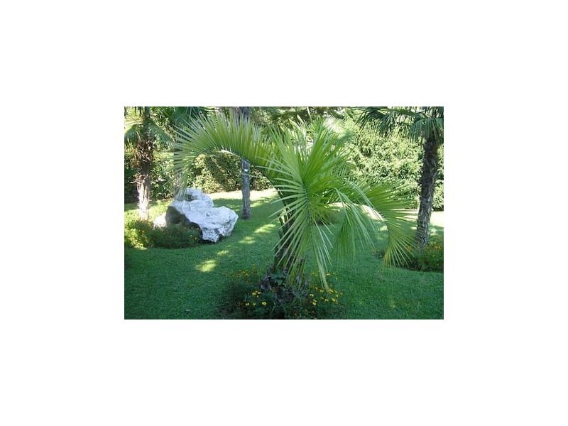 Appartement Katarina – Ferienwohnung Kastela, Kroatien – Foto 11