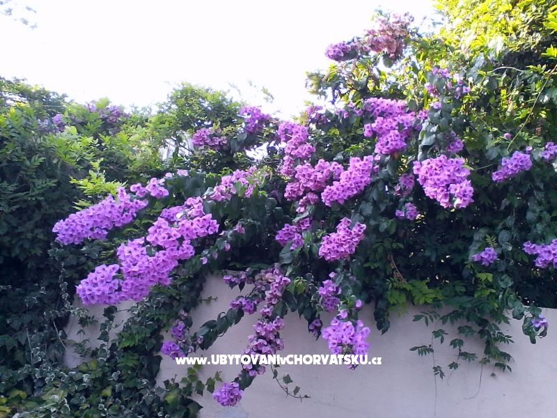 Ferienwohnungen Bugenvilla – Ferienwohnung Kastela, Kroatien – Foto 10