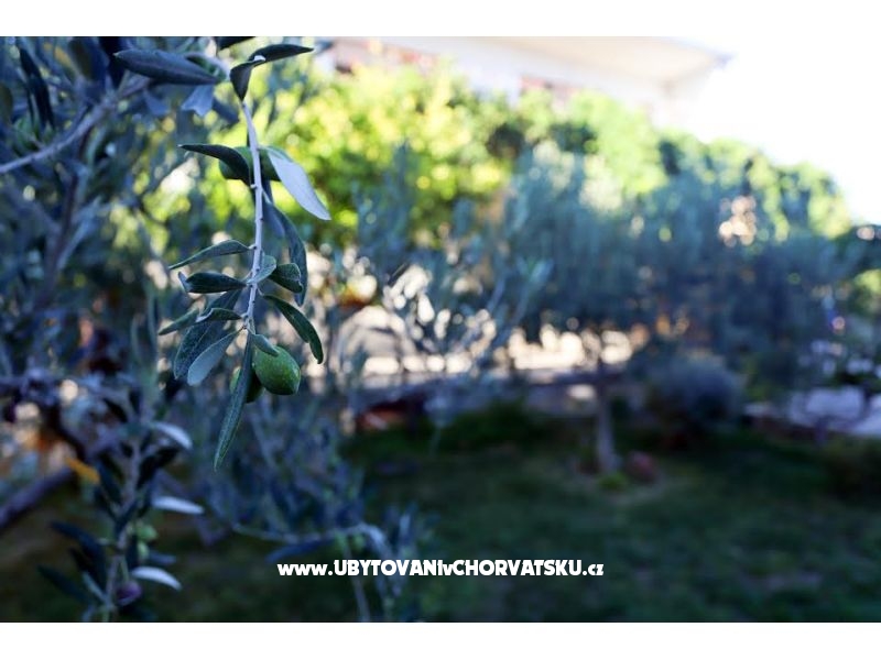 Stone Sun – Ferienwohnung Kastela, Kroatien – Foto 16