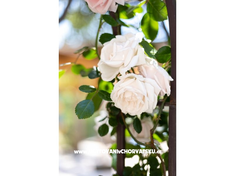 Villa Antea  – ubytování Kaštela, Chorvatsko – foto 18