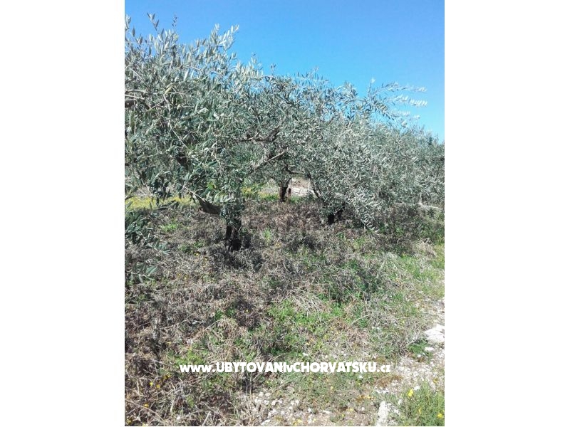 Appartements Alfijo – Ferienwohnung Klek, Kroatien – Foto 13