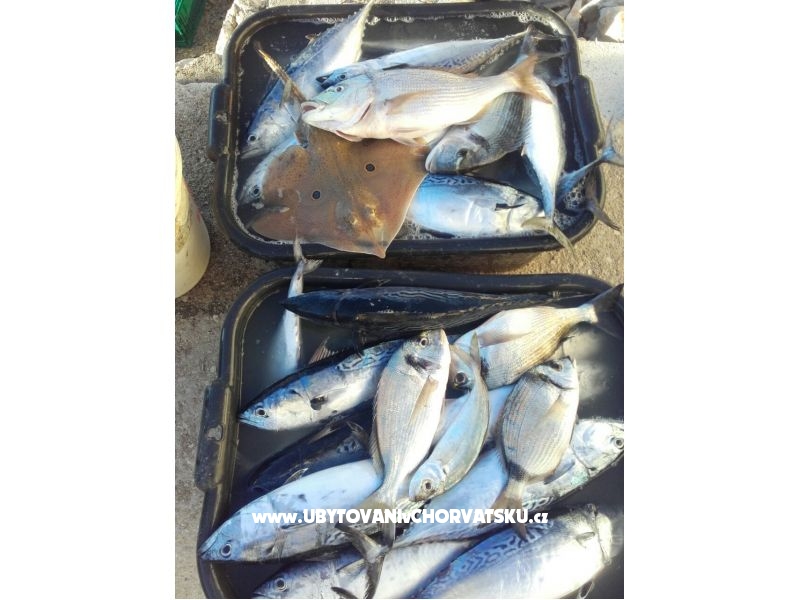 Appartements Alfijo – Ferienwohnung Klek, Kroatien – Foto 9