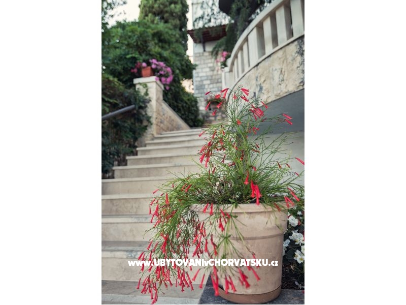 Appartements i Zimmers Villa Barbara – Ferienwohnung Klek, Kroatien – Foto 11