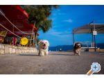 AG Komarna | Peljeac B. Appartements - Klek Croatie