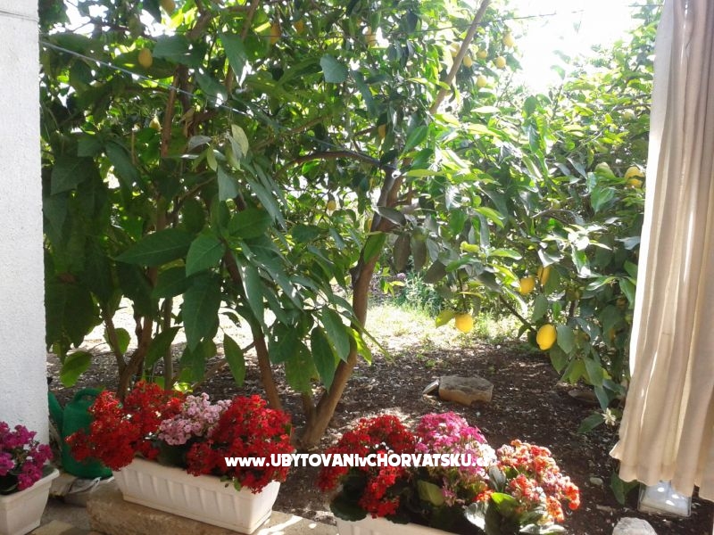 Appartements Senka – Ferienwohnung Korcula, Kroatien – Foto 4