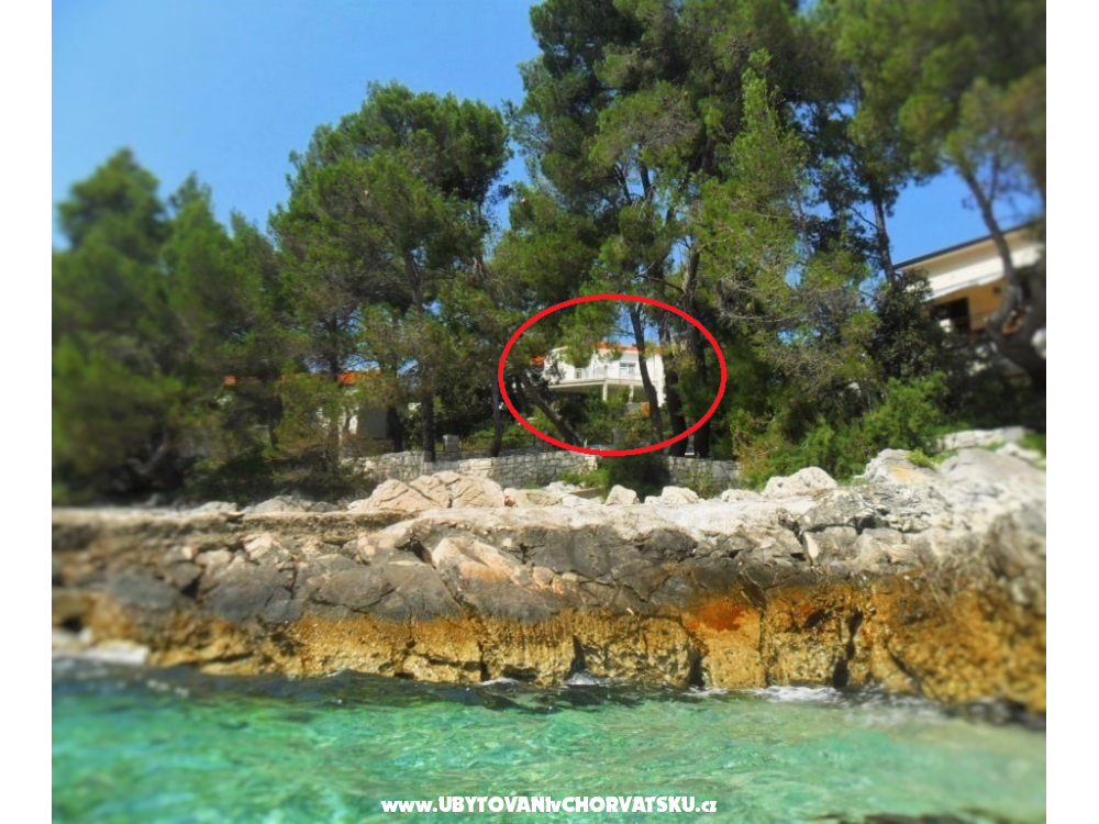 Appartements Marica Pecoti - Korula Croatie