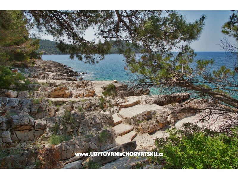 Ferienwohnungen Marica P. – Ferienwohnung Korcula, Kroatien – Foto 10