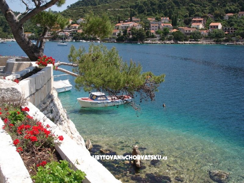 Ferienwohnungen Marica P. – Ferienwohnung Korcula, Kroatien – Foto 9