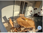 Apartmaji Cannela Oasis - Korula Hrvaka