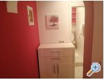 Appartements Cannela Oasis - Korula Croatie