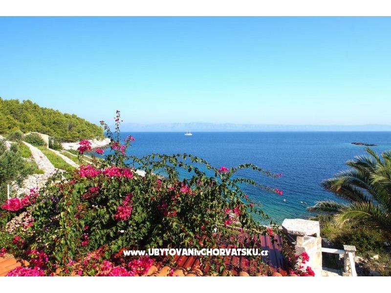 Kuća za odmor Dorjan – Ferienwohnung Korcula, Kroatien – Foto 5