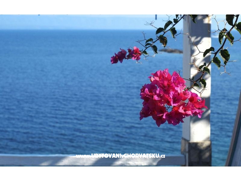 Kuća za odmor Dorjan – Ferienwohnung Korcula, Kroatien – Foto 6