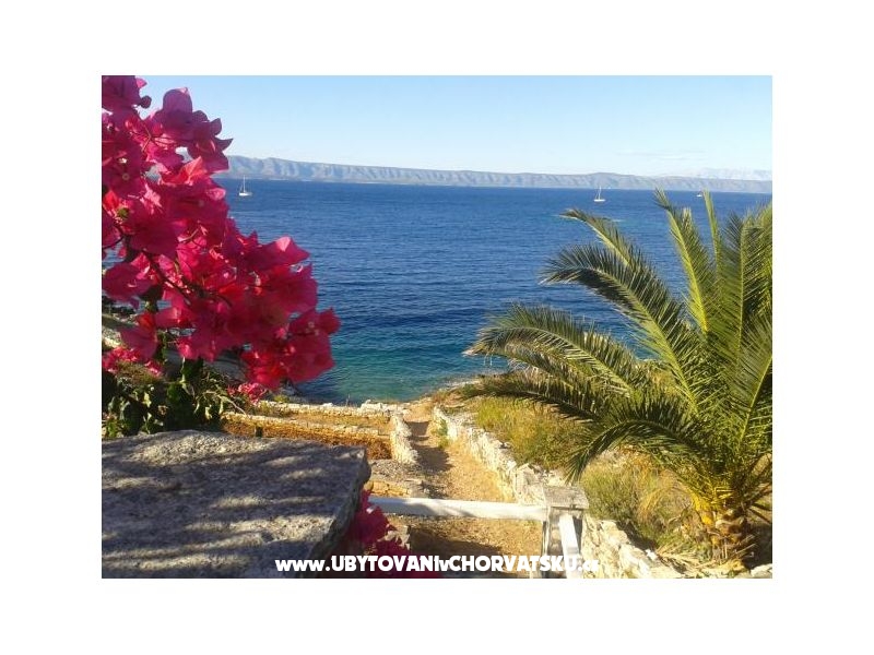 Kuća za odmor Dorjan – Ferienwohnung Korcula, Kroatien – Foto 8