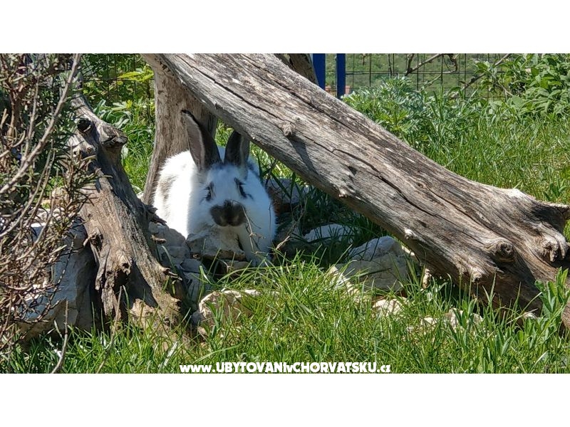 Villa Suzi – Ferienwohnung Kraljevica, Kroatien – Foto 11