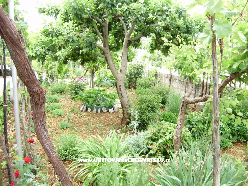 Apartaments Samanic – Ferienwohnung Insel Krk, Kroatien – Foto 17