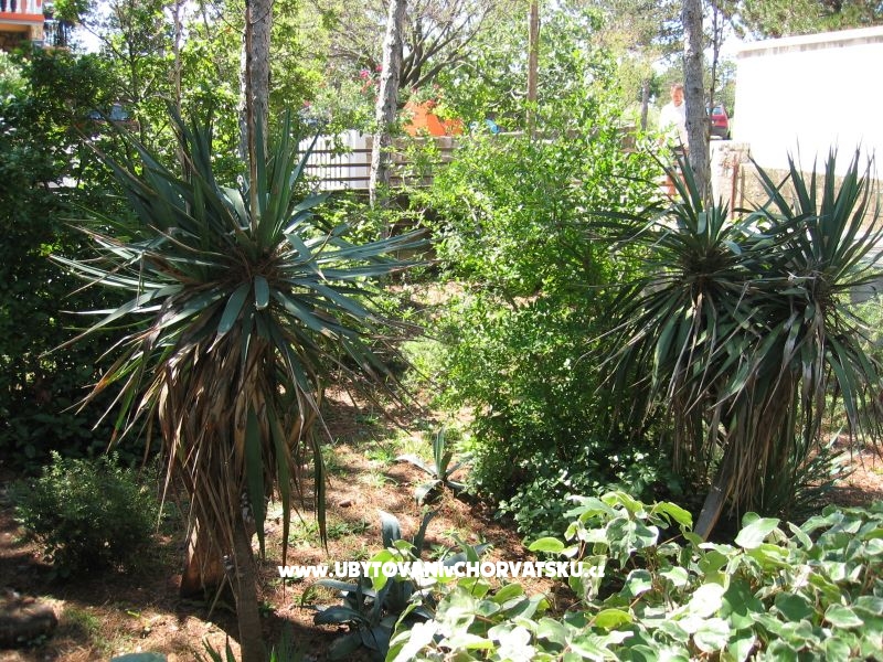 Apartmán Borici – ubytování ostrov Krk, Chorvatsko – foto 17