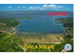 Apartment Jelenović – Insel Krk – Vorschau 18
