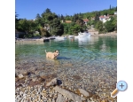 Appartements LUNA - ostrov Krk Kroatien