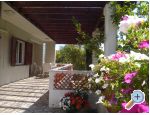 Apartmaji Branko - ostrov Krk Hrvaka