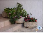 Apartmaji Grzalja-Rozic Krk - ostrov Krk Hrvaka