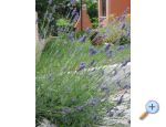 Apartmaji Iva&amp;Ivan - ostrov Krk Hrvaka