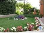 Apartmaji Iva&amp;Ivan - ostrov Krk Hrvaka