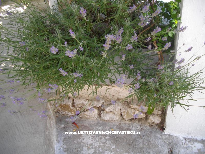 Apartmány Kinkela – ubytování ostrov Krk, Chorvatsko – foto 12